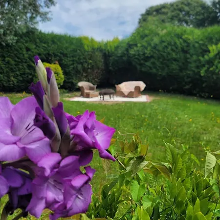 Maison St. Bed & Breakfast *
