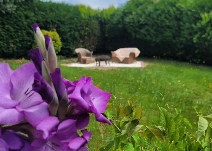 Maison St. Couette-café 3*